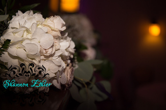 Heather and Rob Davis's Wedding October 2017-7217