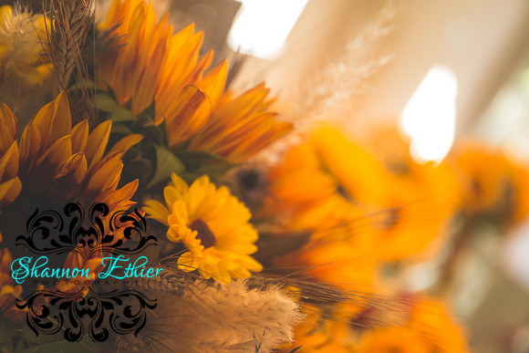 Teceno Nitschke Wedding - Pregame | October 07, 2021 | Shannon Ethier Photography-3