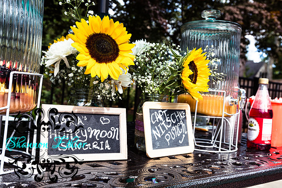 Teceno Nitschke I Do BBQ | August 15, 2021 | Shannon Ethier Photography | 6766