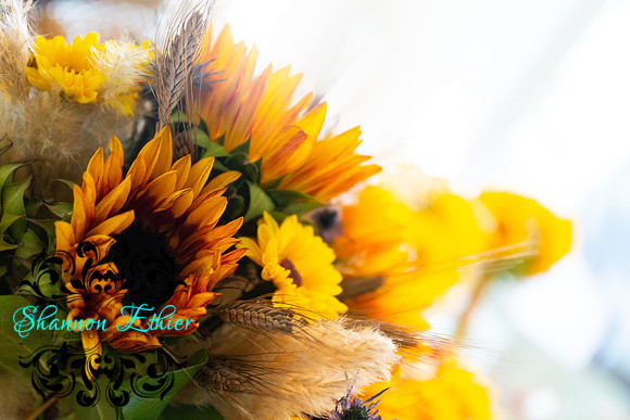 Teceno Nitschke Wedding - Pregame | October 07, 2021 | Shannon Ethier Photography-4