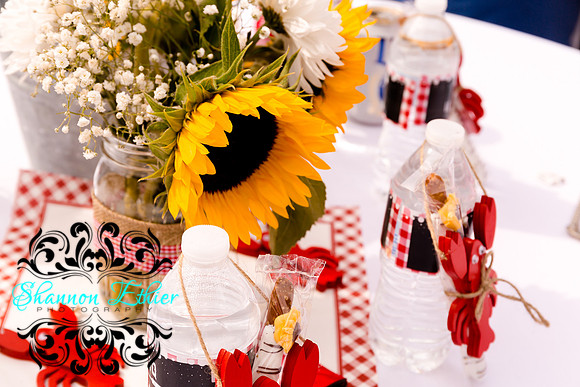 Teceno Nitschke I Do BBQ | August 15, 2021 | Shannon Ethier Photography | 6756