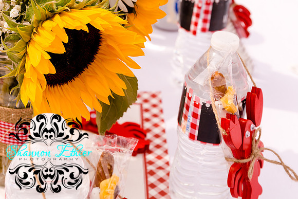 Teceno Nitschke I Do BBQ | August 15, 2021 | Shannon Ethier Photography | 6757